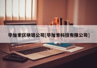 毕加索区块链公司[毕加索科技有限公司]