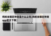 蚂蚁金服区块链是什么公司[蚂蚁金服区块链app官方下载]